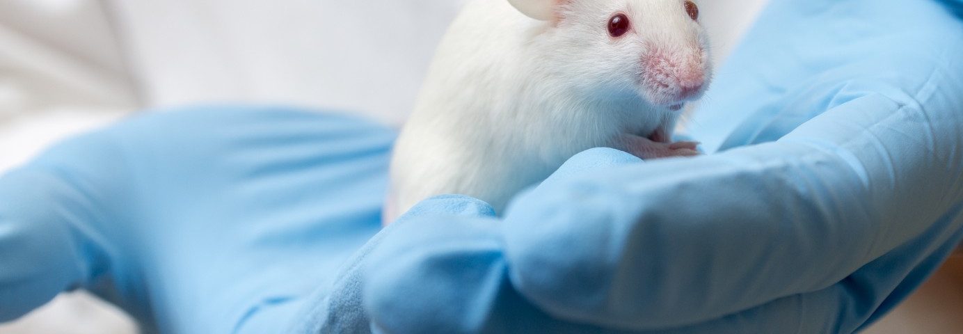 New Potential Therapeutic Target – FFA4 Protein – Discovered for COPD New Potential Therapeutic Target – FFA4 Protein – Discovered for COPD
