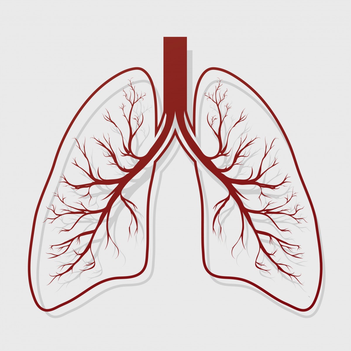 Keratan sulfate and COPD