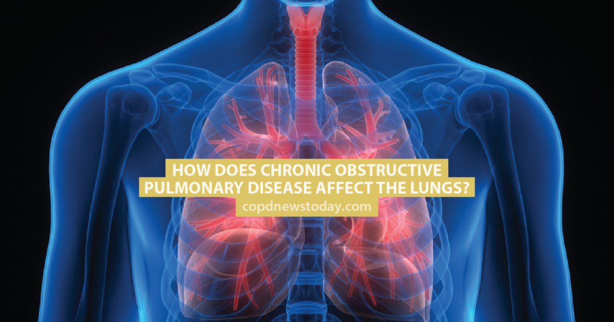 How Does Chronic Obstructive Pulmonary Disease Affect The Lungs Copd