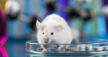 stem cells and NTM study