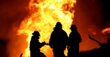 wildfire air pollutants | COPD News Today | firefighters working a wildfire