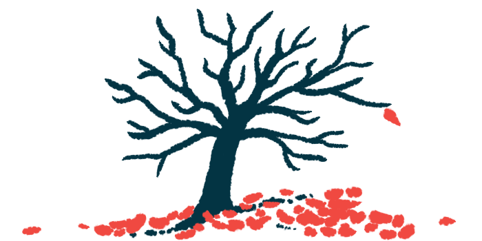 An illustration of a tree with fallen leaves on the ground.